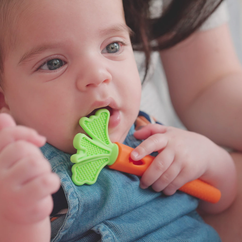 Carrot Teether Set (2 Pack) #2948A