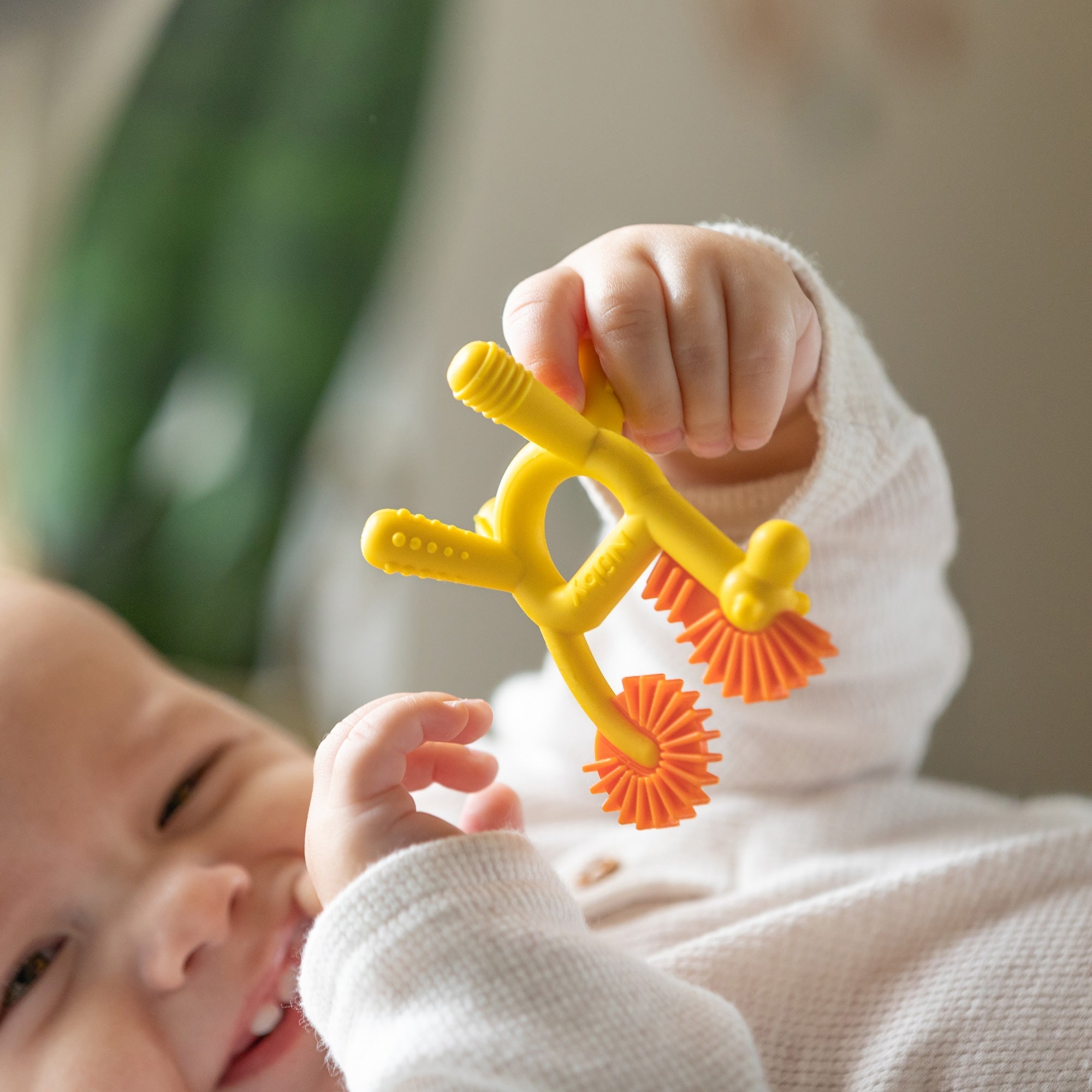 Geo Zoo Silicone Teether #212DP