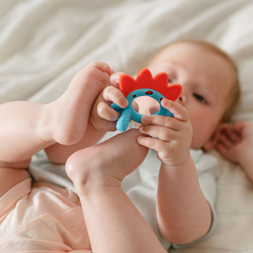 Geo Zoo Silicone Teether #212DP