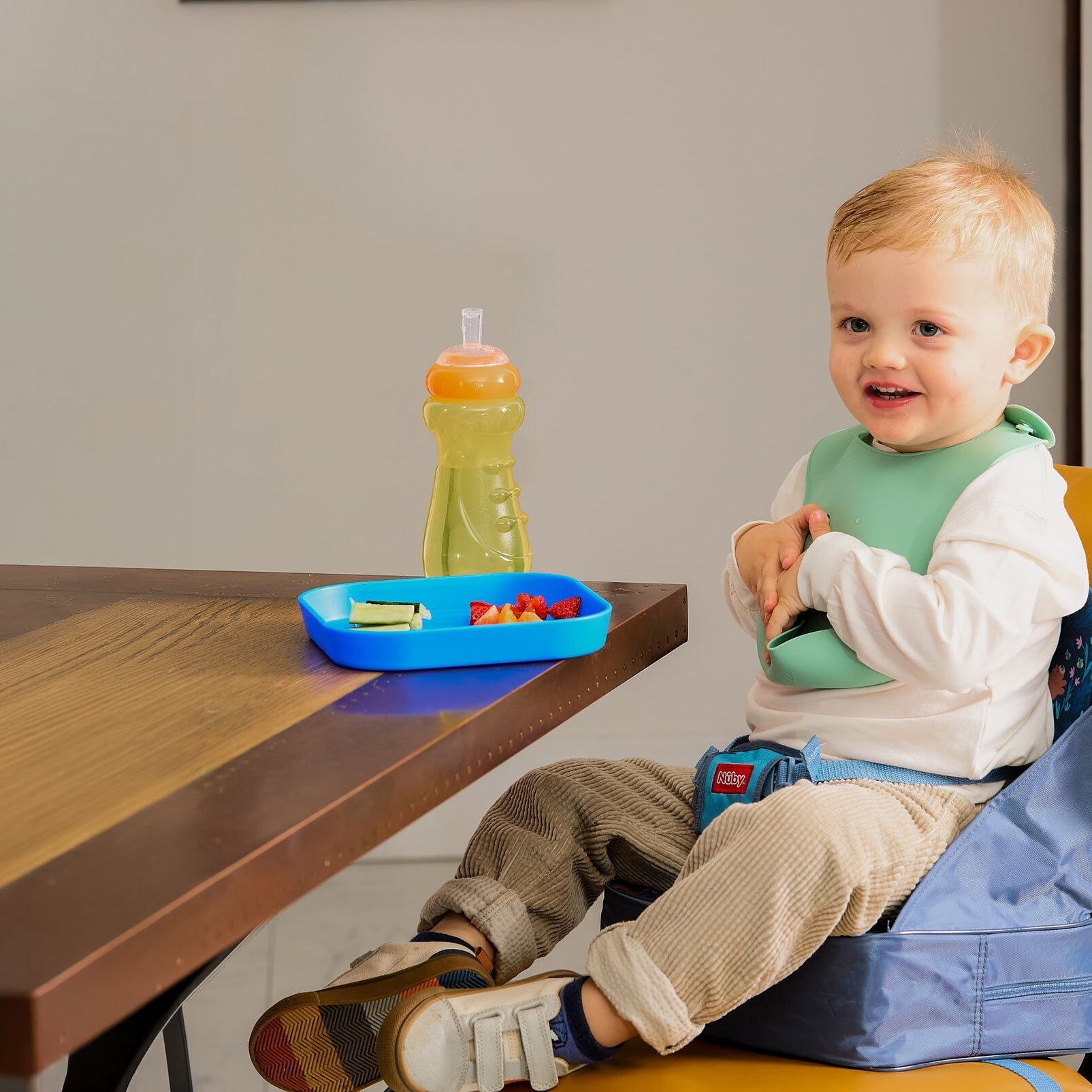 Easy Go High Chair Booster Seat | Bears #234KR