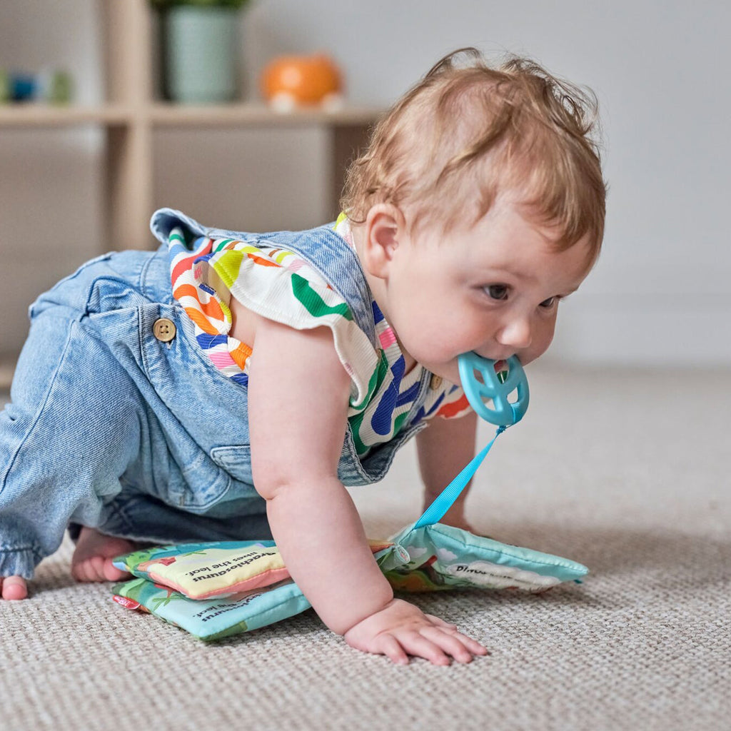 Baby Sensory Book | Dino #316Z0