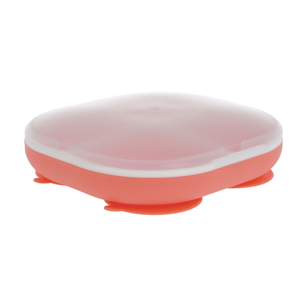 Rectangular Silicone Suction Plate (2 Pack) | Coral / Aqua #101S9